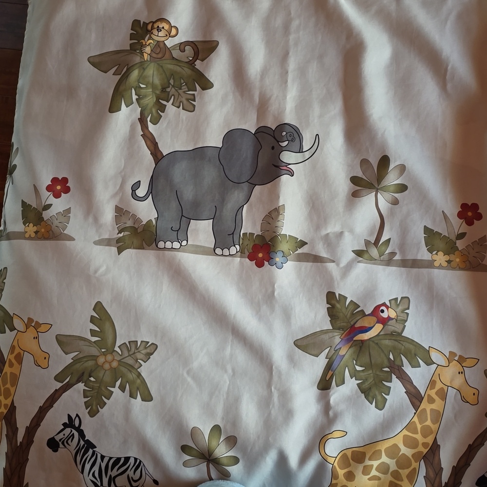 Shower curtain